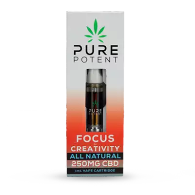 VAPORIZADOR FOCUS & CREATIVITY